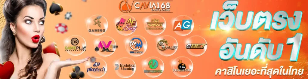 cavia168